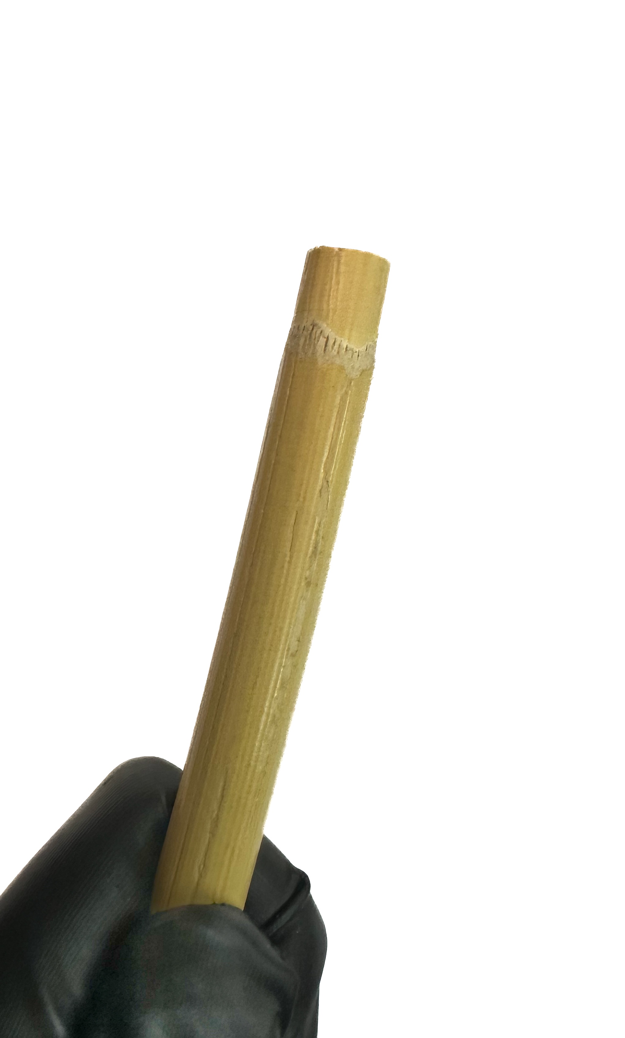 Cane unbehandelt, ungeschält, ca. 10 mm dick, Länge ca. 50 cm