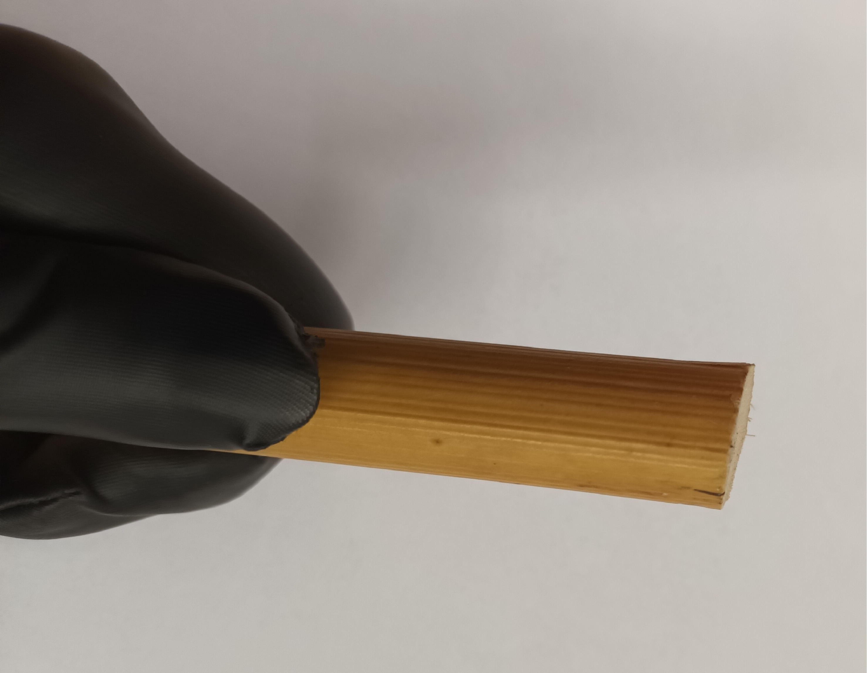 Cane unbehandelt, ungeschält, ca. 20 mm dick, Länge ca. 60 cm